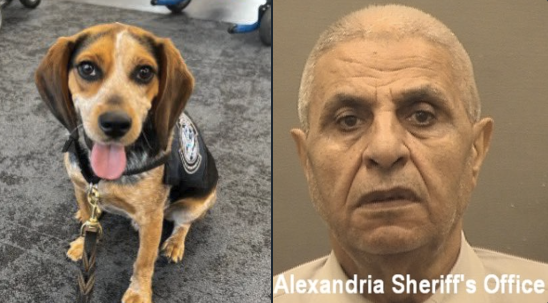 Egyptian Man Deported After Kicking CBP Detection Dog at DC-Area Airport